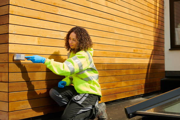 Affordable Siding Repair and Maintenance Services in Fowler, MI